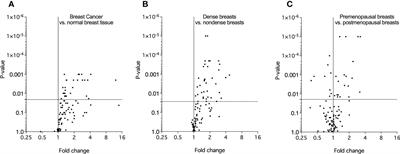 Breast density and estradiol are associated with distinct different expression patterns of metabolic proteins in normal human breast tissue in vivo